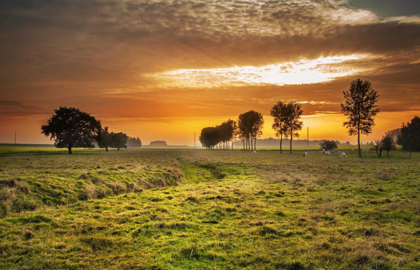 Portret van Sophie van der Meer
