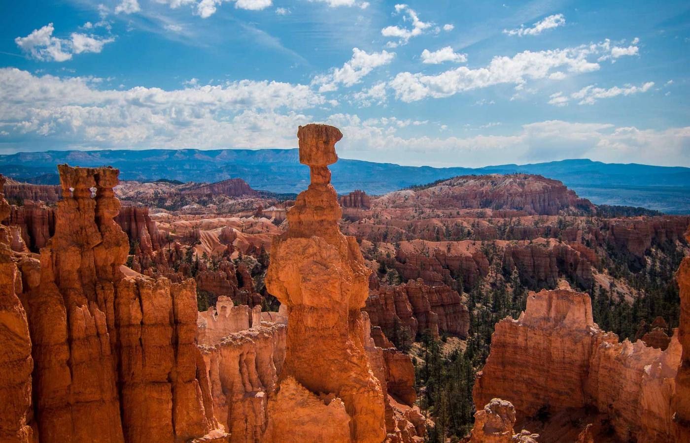 Professionele opstelling voor een conferentie